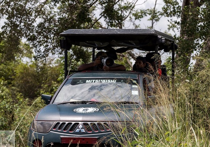 Safaris and Adventure